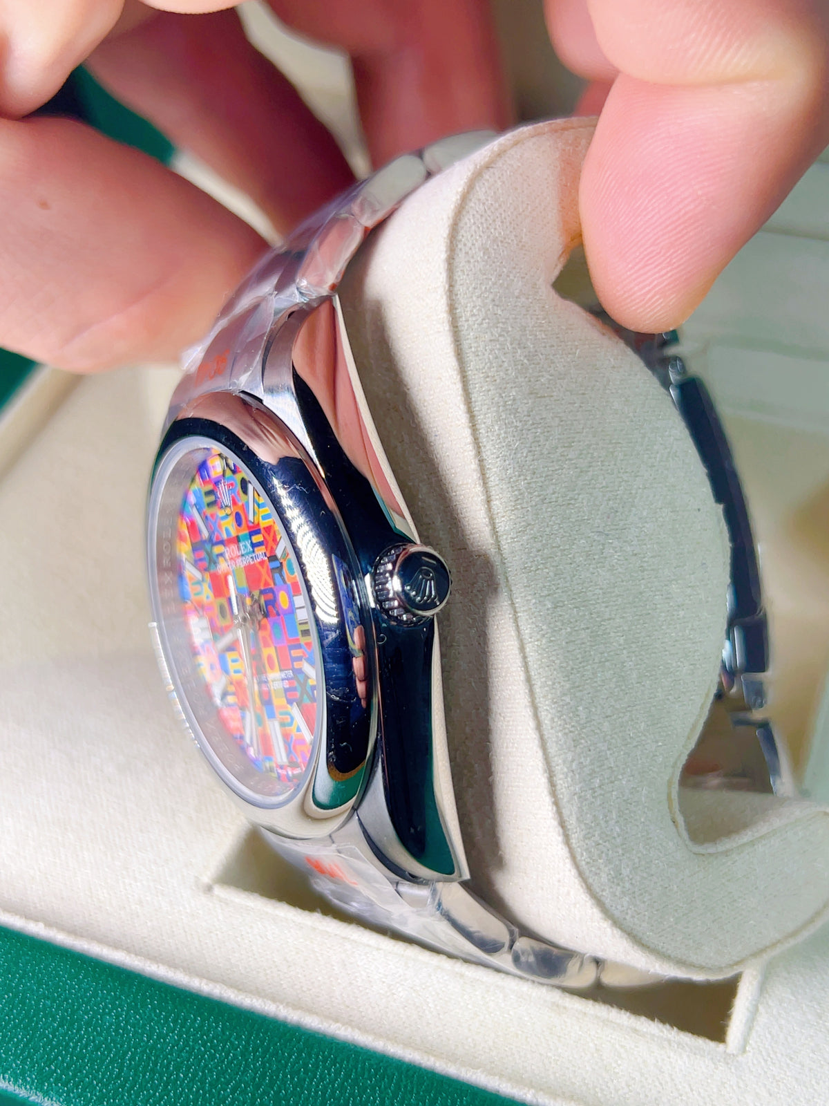 Oyster multicolor 2026 full set